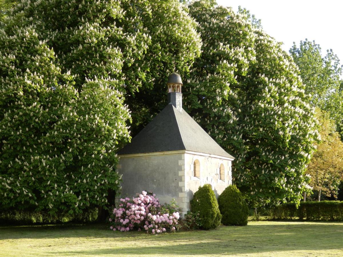 Château La Mothaye Les Bois-d'Anjou Exterior foto