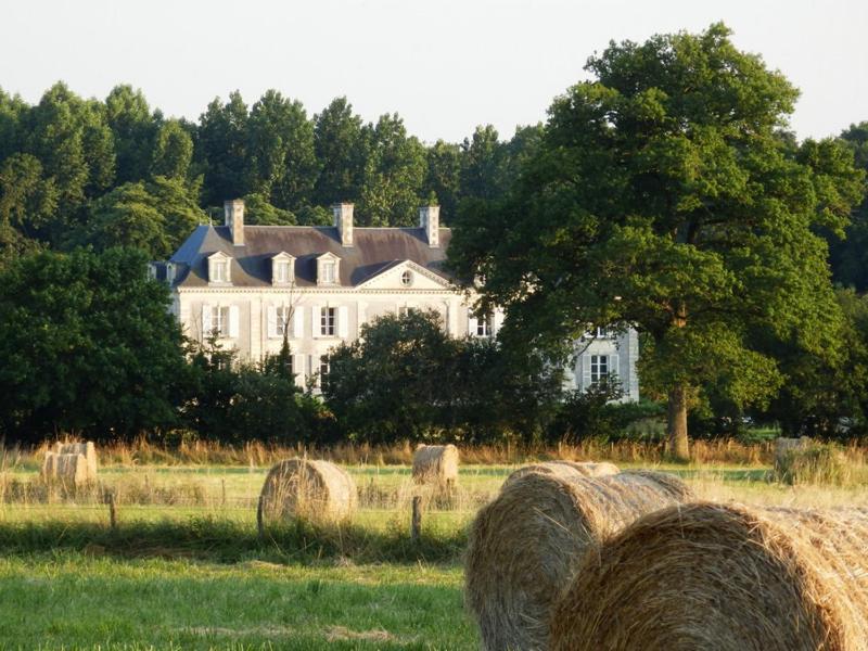 Château La Mothaye Les Bois-d'Anjou Cameră foto